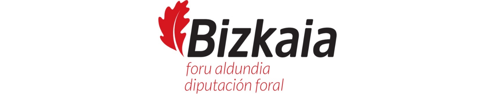 Bizkaiko Foru Aldundia