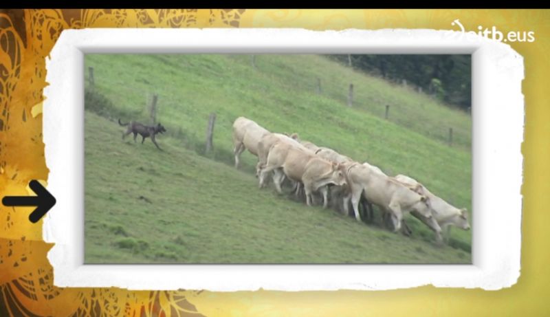 blog-1